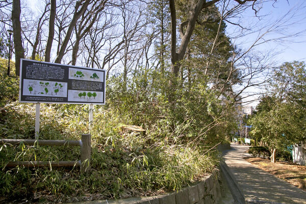 休日には人々で賑わう「綱島公園」は約210m（徒歩3分）。