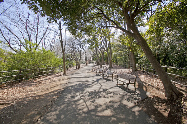 桜の有名な「日吉の丘公園」は、約1,000m（徒歩12分）。