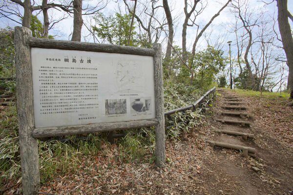 「綱島古墳」のある「綱島公園」は、約1,380m（徒歩18分）。