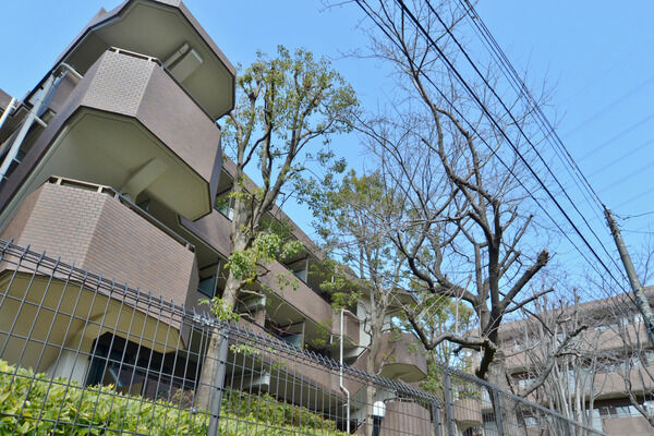 【東戸塚パークホームズ】周辺には、様々な樹木が植栽され周囲との環境との調和をもたらしています。 【東戸塚パークホームズ】周辺には、様々な樹木が植栽され周囲との環境との調和をもたらしています。