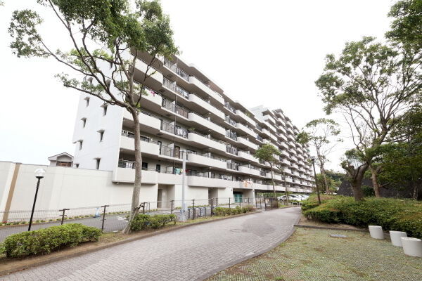 隣接する散策道にも木々があふれ、くつろぎの空間が広がります。