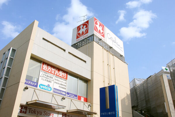 「藤が丘東急ストア」で約800ｍ（徒歩10分）。  