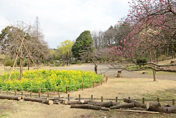 日本の「さくら名所100選」の「三ツ池公園」まで約3,600m（徒歩45分）。		
