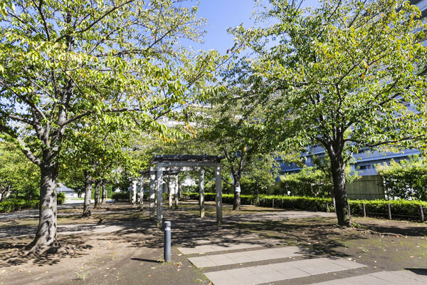 敷地内には桜の咲き誇る広場もあり、四季折々の風景が楽しめます。
