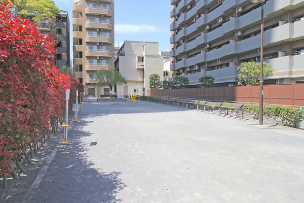 さくら公園　現地より約30m