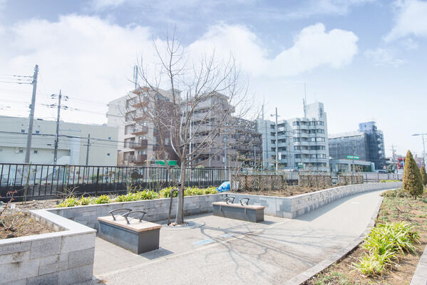「向ヶ丘遊園」駅南口から「生田緑地ばら苑」へ連なる「ばら苑アクセスロード」。