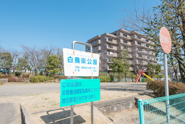 広々とした「白鳥東公園」は、約10m（徒歩1分）。