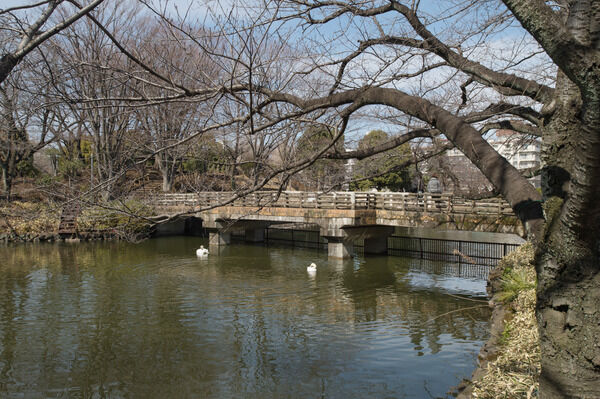 「鹿沼公園」まで約400ｍ（徒歩5分）。