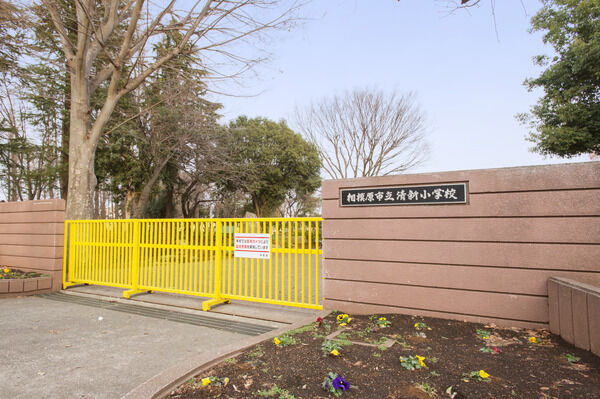 「相模原市立清新小学校」までは約1,200m(徒歩15分)。		
