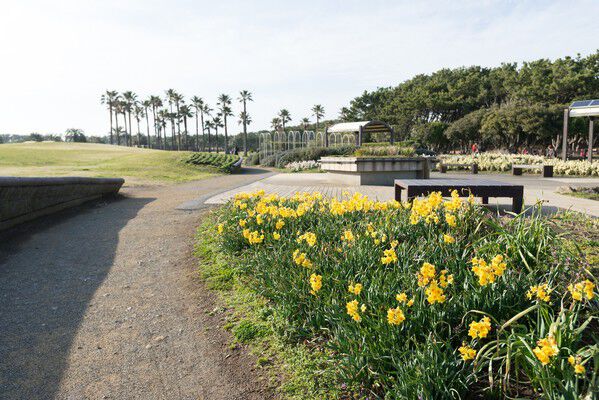 「辻堂海浜公園」は、約1,600m（徒歩20分）。