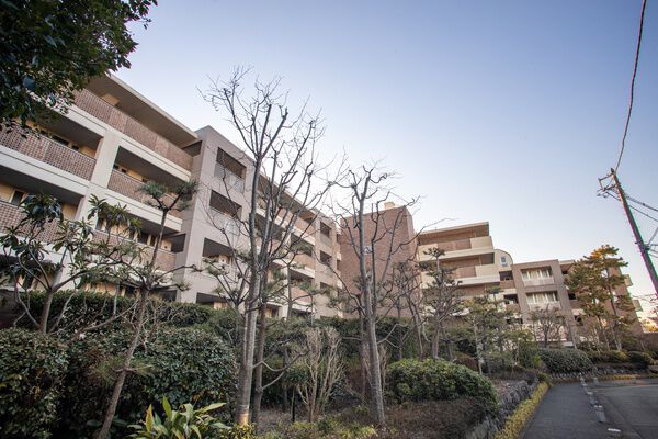 グランドメゾン鵠沼橘