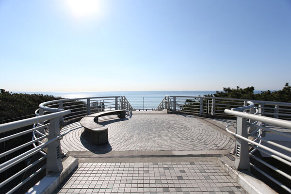 新年には箱根駅伝の観戦などで賑わう「浜須賀歩道橋」。