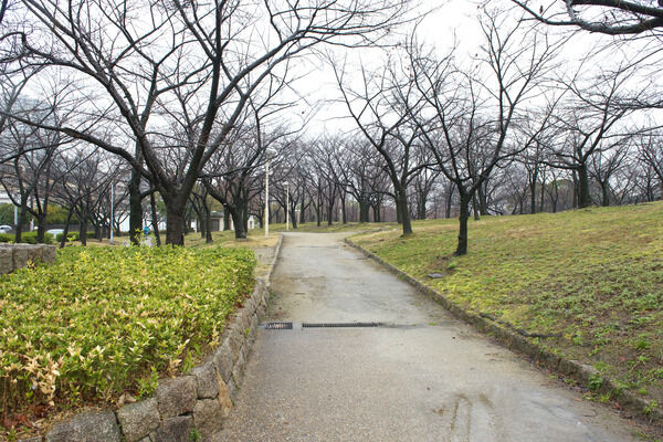 「毛馬桜之宮公園」まで約960m(徒歩12分)。 「毛馬桜之宮公園」まで約960m(徒歩12分)。