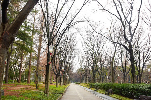 テニス場やバラ園を楽しむ「靱(うつぼ)公園」は約1,700m（徒歩22分）。