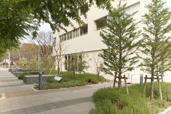 周囲を囲むように、敷地内のいたる所に緑が。屋上緑化も取り入れられています。		