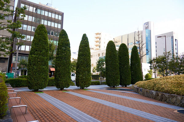 建物北側には水盤と緑のマウントが整備され、都会のオアシスに。		