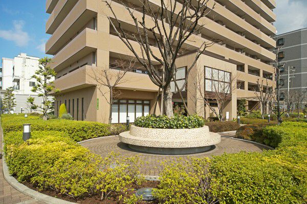 「ファミール天神橋グリーンアベニュー」のシンボルツリーであるケヤキの堂々たる姿。