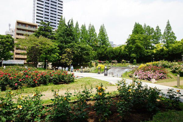 花と緑にあふれる国際級テニス施設もある「靱公園」は約800m（徒歩10分）。