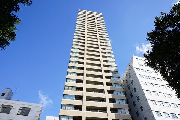 【マストタワー安堂寺】住居階は2階より上層部。地下1階にメインエントランス、1階に駐車場を配備。		