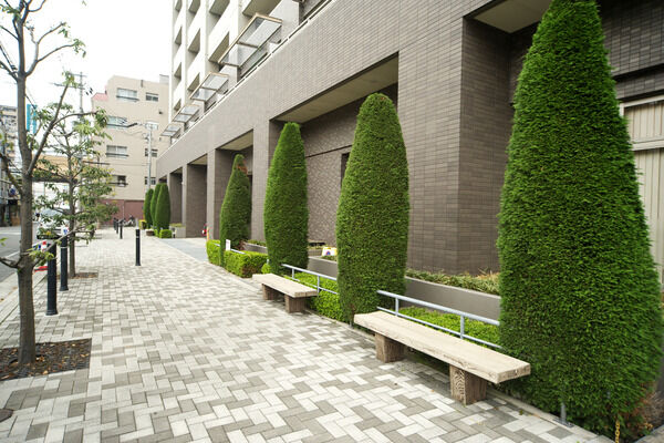 豊富な植栽が、閑静な街並みに自然の潤いとゆとりをもたらします。