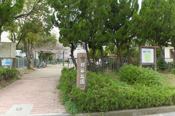 緑豊かな「杉谷公園」まで、約290m(徒歩4分)。 緑豊かな「杉谷公園」まで、約290m(徒歩4分)。