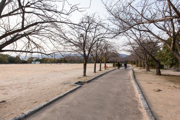 「芦屋中央公園」まで約1,100m(徒歩14分)。 「芦屋中央公園」まで約1,100m(徒歩14分)。
