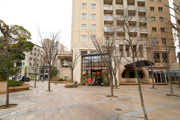 水、石、緑、光に彩られたメインエントランスに続く、格調を感じさせるアプローチ。 水、石、緑、光に彩られたメインエントランスに続く、格調を感じさせるアプローチ。