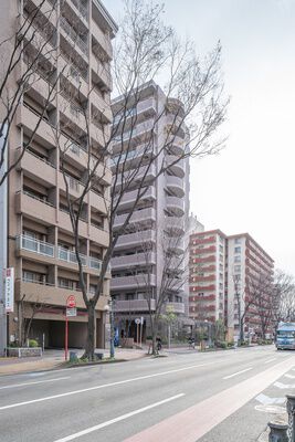 ダイアパレス赤坂けやき通り