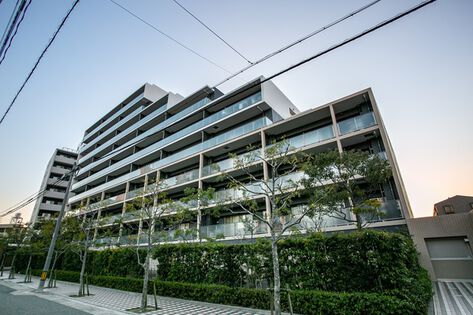 パークスタイルザシェイプ