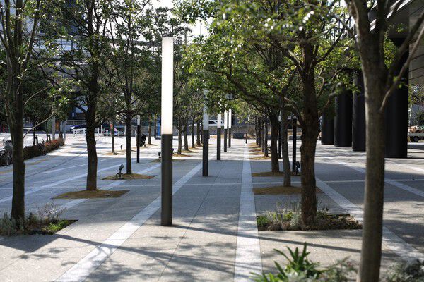 植栽と電灯をスタイリッシュに配置したエントランスアプローチ。