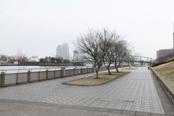 運河沿いの散策が楽しめる「石川島公園」まで約700m（徒歩9分）。		