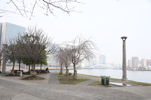 海風そよぐ「石川島公園」まで約140m(徒歩2分)。 海風そよぐ「石川島公園」まで約140m(徒歩2分)。