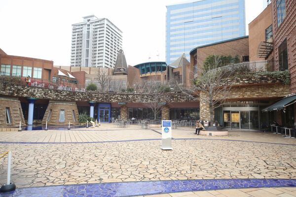 ショッピングに最適。複合施設「晴海トリトンスクエア」まで約600m（徒歩8分）。		