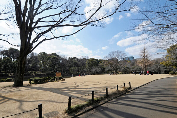 桜の名所。森林浴にも最適な緑豊かな「北の丸公園」へは約850m（徒歩11分）。		