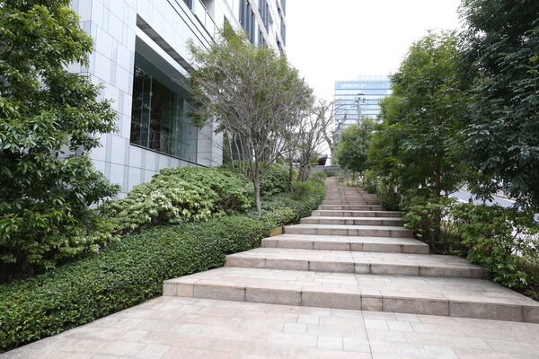 周辺の桜並木に溶け込む、緑に包まれたエントランスアプローチ。 周辺の桜並木に溶け込む、緑に包まれたエントランスアプローチ。