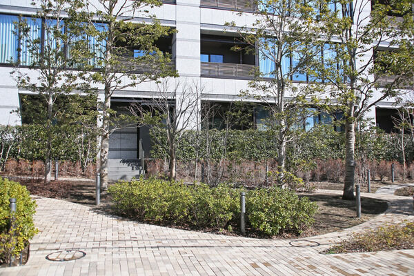 建物を取り囲むように4つの庭を整備。四季の移ろいを愛でるひと時をお過ごし下さい。 建物を取り囲むように4つの庭を整備。四季の移ろいを愛でるひと時をお過ごし下さい。