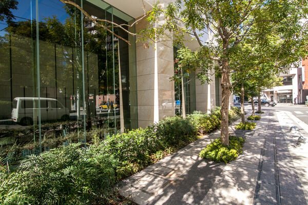 優雅さが漂うアプローチは、木立に守られたプロムナード空間。 優雅さが漂うアプローチは、木立に守られたプロムナード空間。