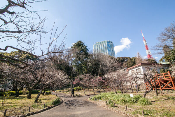 「都立芝公園」までは約520m(徒歩7分)。自然を身近に感じられます。 「都立芝公園」までは約520m(徒歩7分)。自然を身近に感じられます。
