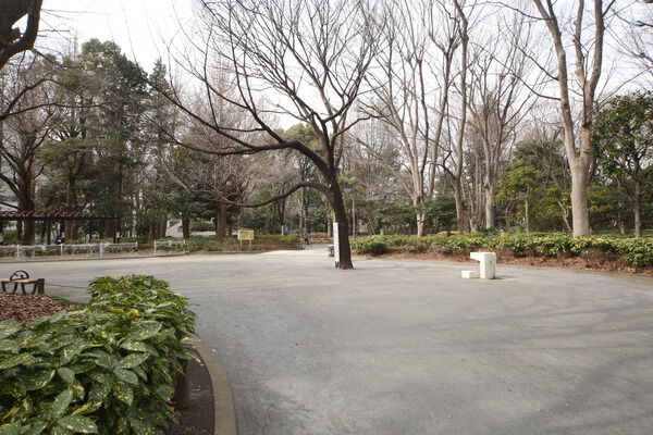 緑が豊かな「新宿中央公園」へは約900m（徒歩12分）。		