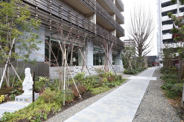 敷地内には四季を感じさせる多くの植栽に彩られています。		