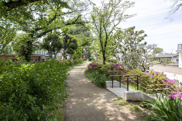 杉並区玉川上水第二公園　現地より約150ｍ