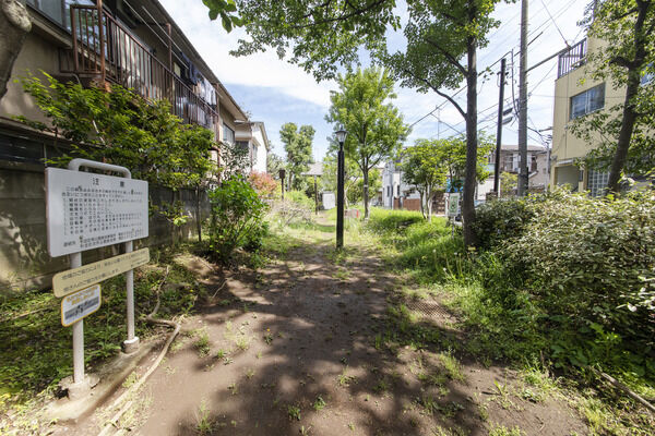 近隣公園　現地より約30m