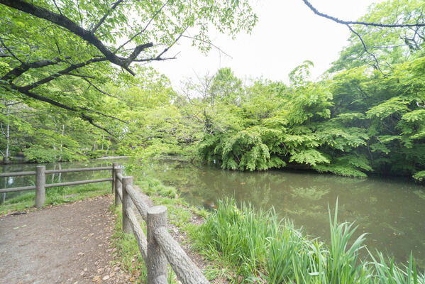 和田堀公園　現地より約200m