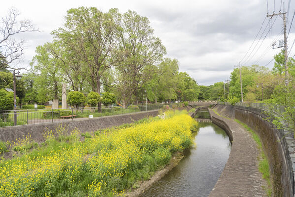 和田堀公園　現地より約200m