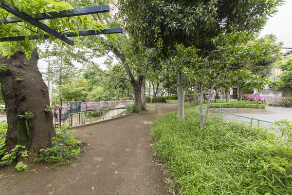 近隣公園　現地より約50m