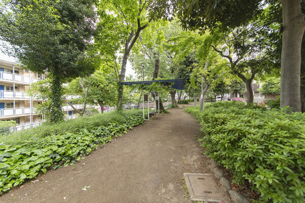 近隣公園　現地より約50m