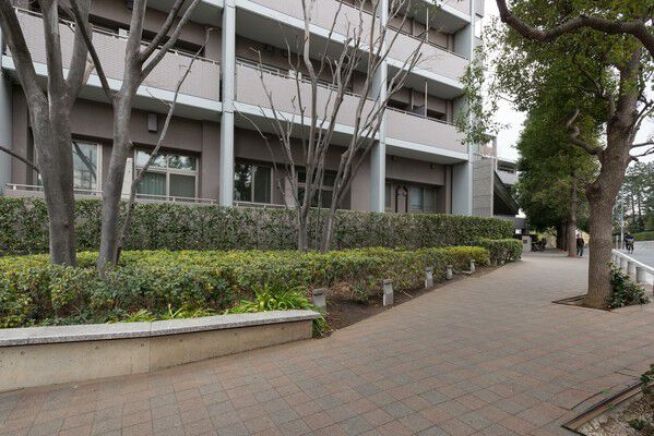 建物の周囲にも植栽を取り入れ、日常に安らぎ感を演出。 建物の周囲にも植栽を取り入れ、日常に安らぎ感を演出。