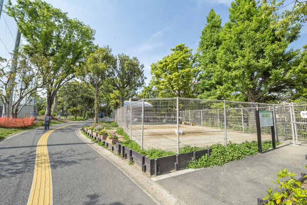 平和の森公園一帯　現地より約50m