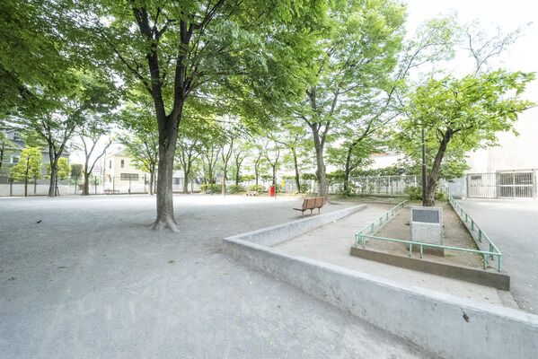 中野区立中央公園　現地より約50m