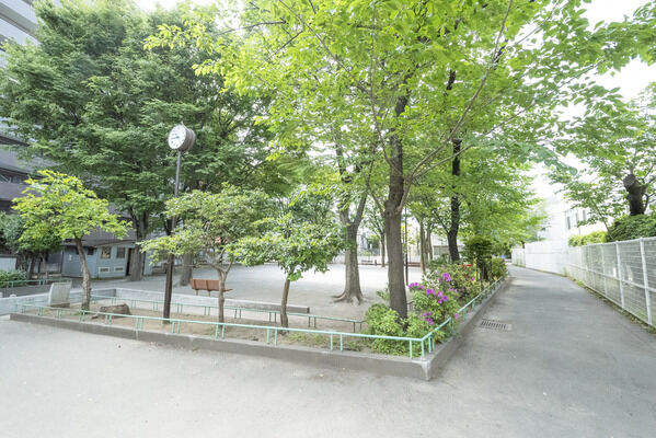 中野区立中央公園　現地より約50m